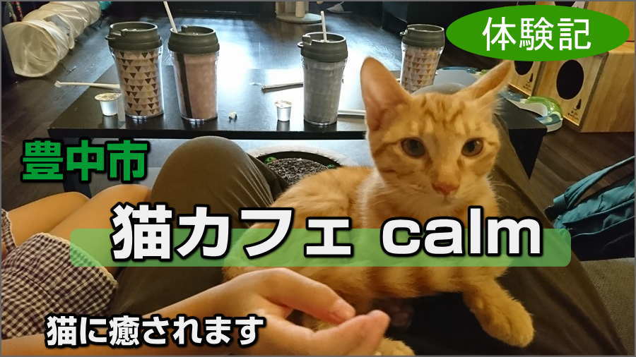 豊中で唯一の猫カフェカーム